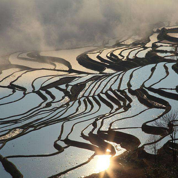 新时代“三农”工作的重大战略部署（二）