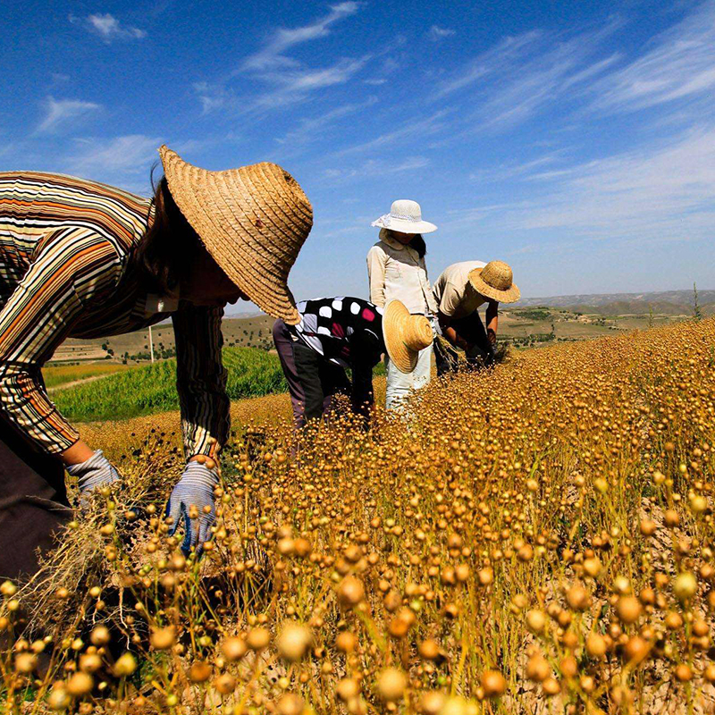 聚焦硬任务 激发新活力（一）