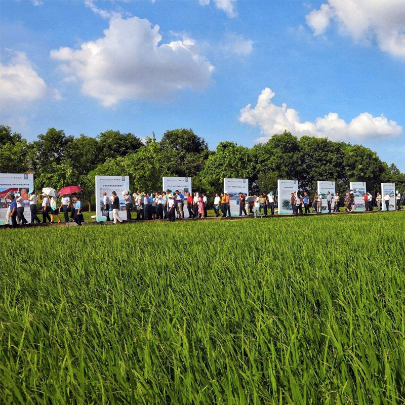 凝心聚力促进乡村产业振兴