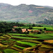 中国农业现代化的现实路径（上篇）